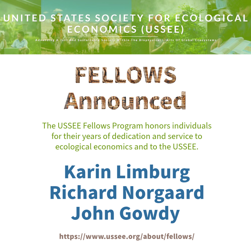 USSEE Fellows